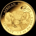 Читать новость нумизматики - Слоны на золотых монетах