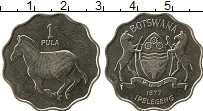 Продать Монеты Ботсвана 1 пул 1976 Медно-никель