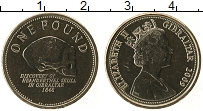 Продать Монеты Гибралтар 1 фунт 2005 Медно-никель