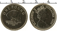 Продать Монеты Гибралтар 1 фунт 2005 Латунь