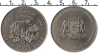 Продать Монеты Сомали 5 шиллингов 1970 Медно-никель