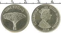 Продать Монеты Гибралтар 1 фунт 2016 Латунь
