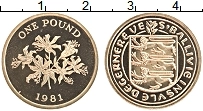 Продать Монеты Гернси 1 фунт 1981 Латунь