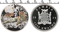 Продать Монеты Замбия 1000 квач 2014 Посеребрение