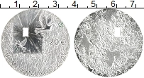 Продать Монеты Финляндия 20 евро 2009 Серебро