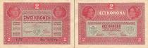 Аукцион: лот Австрия Австрия Банкнота 2 кроны 1917 год Бумага 1917