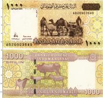 Продать Банкноты Сомали 1000 шиллингов 2010 