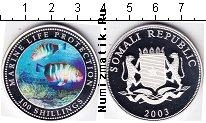 Продать Монеты Сомали 100 шиллингов 2003 Серебро
