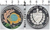 Продать Монеты Куба 20 песо 1996 Серебро