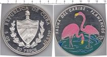 Продать Монеты Куба 50 песо 1994 Серебро