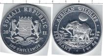 Продать Монеты Сомали 10 шиллингов 2011 Серебро