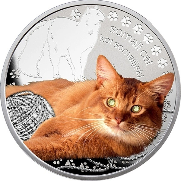 Фото ценные монеты Польши