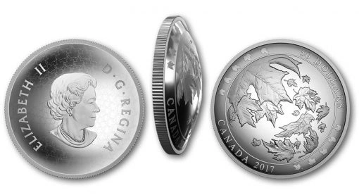 Фото Новые выпуклые монет