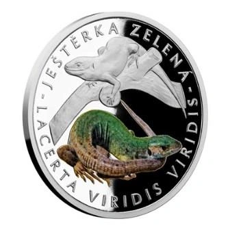 Фото Зеленая ящерица посе