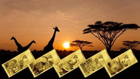 Фото Банкноты Танзании ст