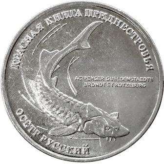 Фото Редкий вид рыбы на м