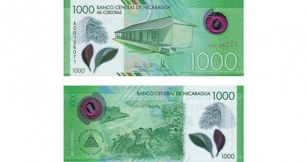 Фото Пластиковые банкноты