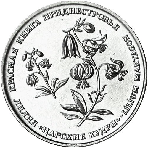 Фото Редкая лилия нуждает