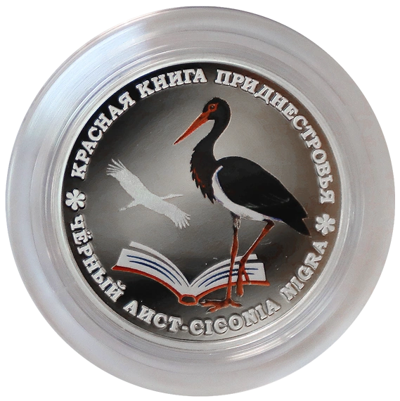 Фото Черный аист стал тем
