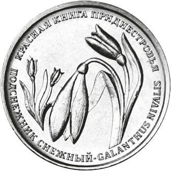 Фото Изящный подснежник н