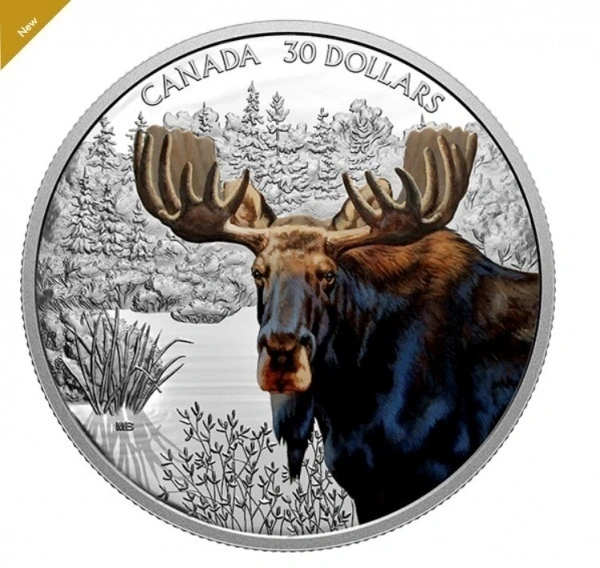 Фото Цветной лось на 30 д