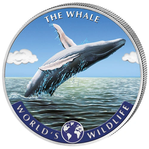 Фото Синий кит на цветных