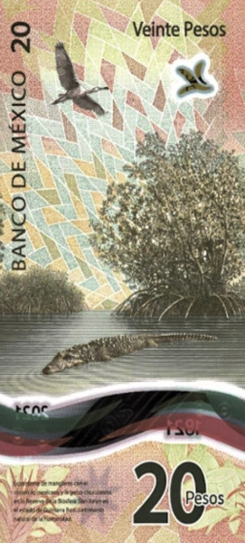 Фото Памятная банкнота в 