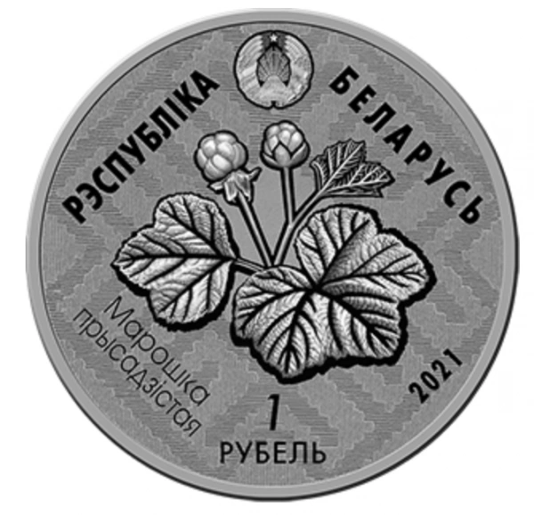 Фото Заказник Ельня на мо