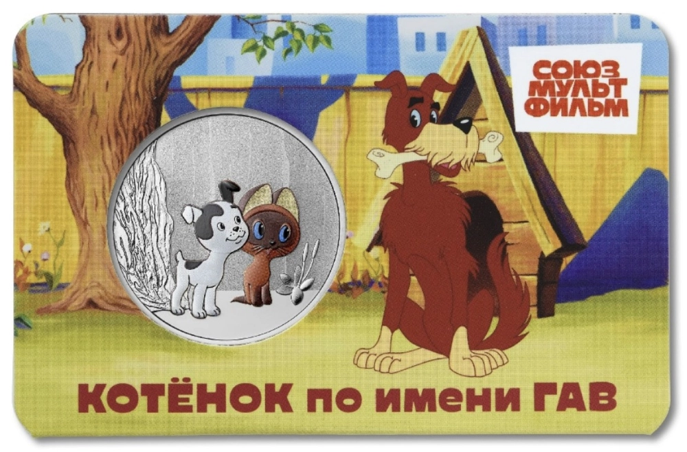 Фото Котёнок по имени Гав