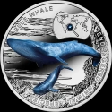 Читать новость нумизматики - Серебряные монеты Польши «Синий кит»