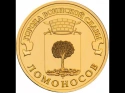 Читать новость нумизматики - Монеты «Ломоносов» 2015 года в серии «Города воинской славы»