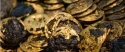 Читать новость нумизматики - В Китае обнаружена огромная коллекция древних монет и артефактов 