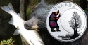 Читать новость нумизматики - Медведь, Луна и серебро – новая монеты Канады