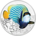 Читать новость нумизматики - Продолжение серии «Коралловые рыбы»