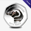 Читать новость нумизматики - Магелланов пингвин – тема новой монеты Фолклендских островов