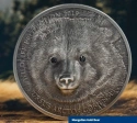 Читать новость нумизматики - Грозный медведь Гоби наблюдает за нами