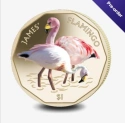 Читать новость нумизматики - Розовый фламинго снова на монете