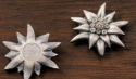 Читать новость нумизматики - Серебряная монета в форме горного цветка