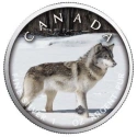 Читать новость нумизматики - Канадский волк на цветном «Кленовом листе»