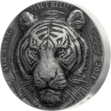 Читать новость нумизматики - Бенгальский тигр начинает серию «Big Five Asia» («Большая пятерка Азии») Кот-д 'Ивуара 