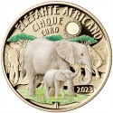 Читать новость нумизматики - 5 евро с африканским слоном