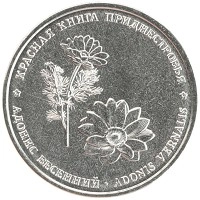 монета - приднестровье 1 рубль - подробная информация фото 1