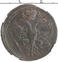 монета - 1727 – 1730 петр ii 1 деньга - подробная информация фото 1