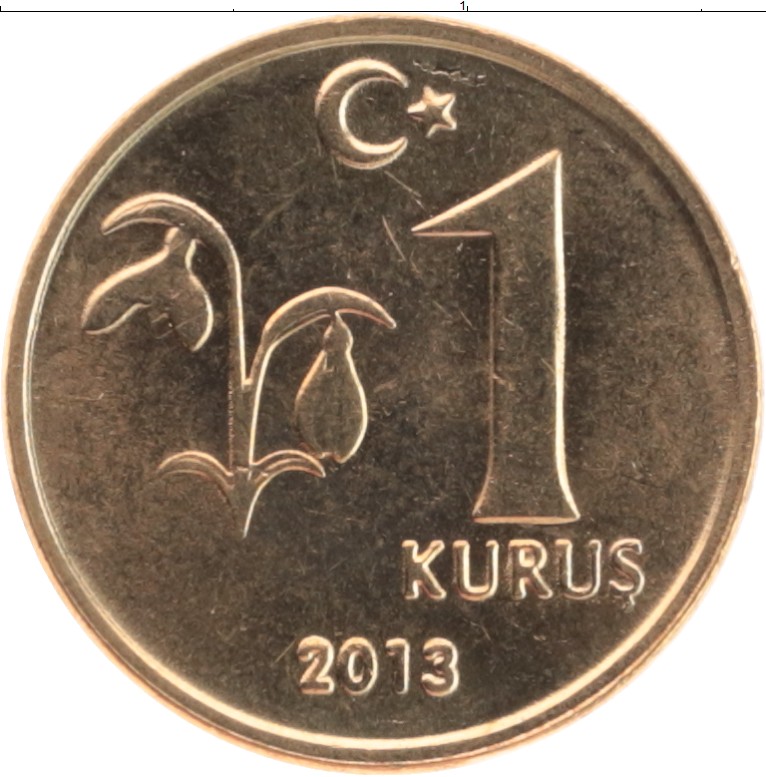300 турецких в рублях. Монета 2 2/1 Куруш 1223/28 медь Турция. Монеты Турции 1 Куруш. Монеты Турции 1 Куруш 2022г. Турция монета 1 Куруш 2022 земля.