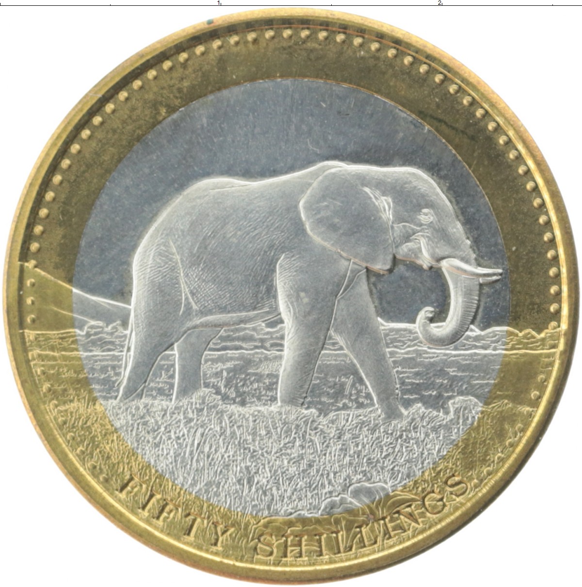 Bendog монета. Сомали 50 шиллингов Биметалл. Сомали монета 50 шиллингов. Монета Сомали со слоном. Монеты Сомали 2013 года.