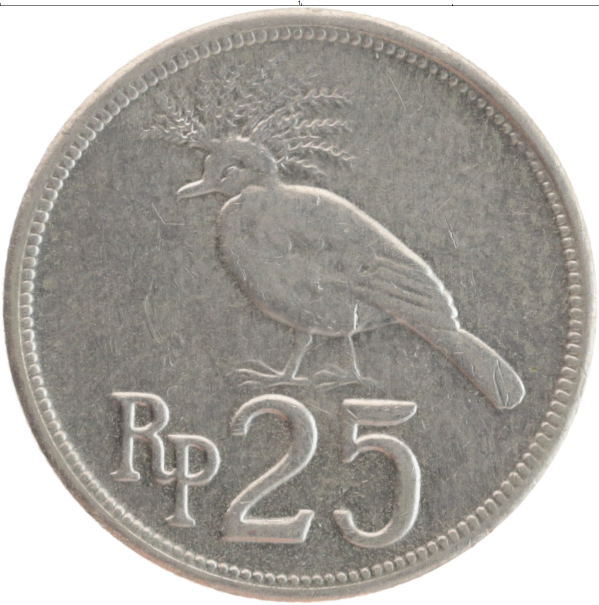 Курс рупии к российскому рублю. Рупий монета 1971. Монета 25 рупий. Индонезия 25 рупий 1996 год. 25 Азия монеты.