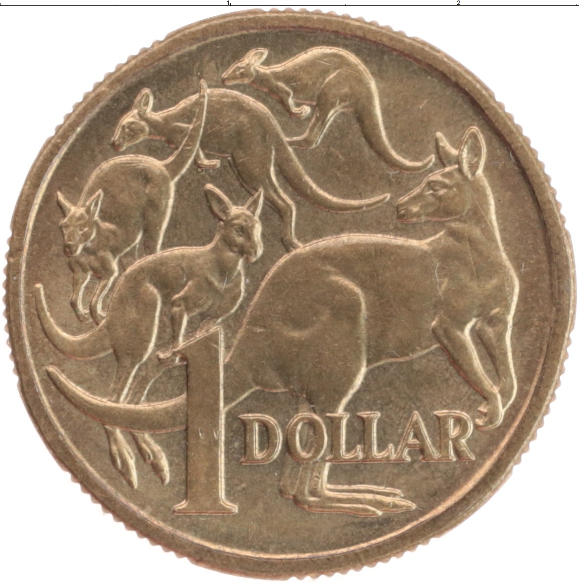 Монета австралия 1 доллар. Австралийский доллар монета. Монета Австралии 1 доллар 1984. Австралия 1 доллар 1985.