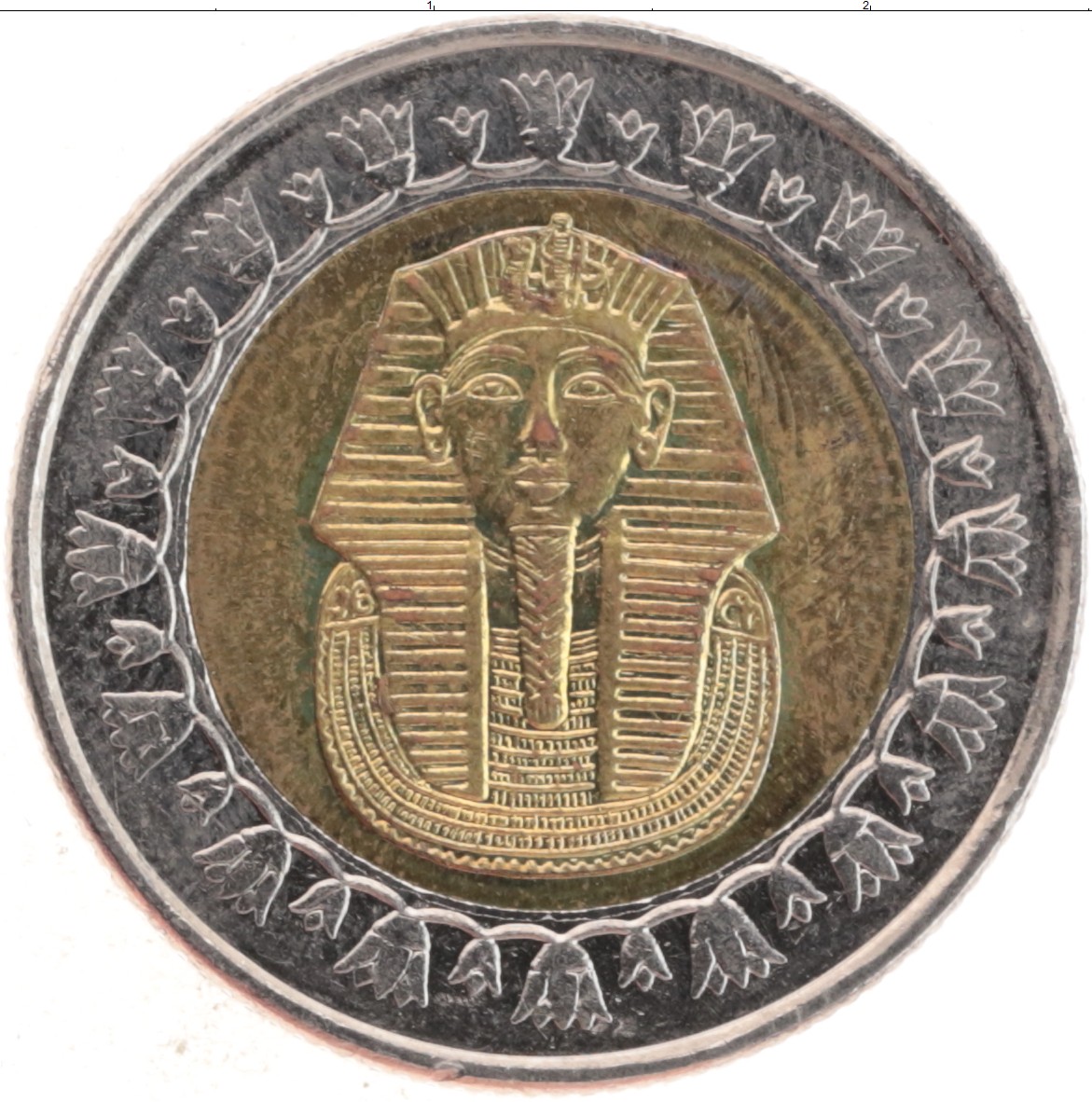First coins. Монета Египет 1 фунт. Монета 1 фунт Египет Биметалл. Монета Египта 1 паундс. Монеты Египет 1 фунт 2008.
