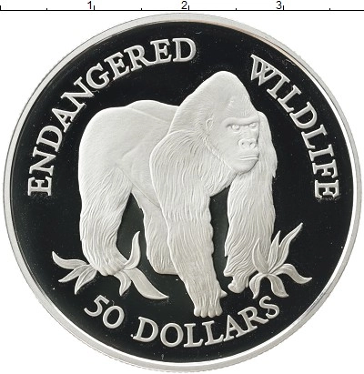  фото 1