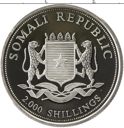  фото 2